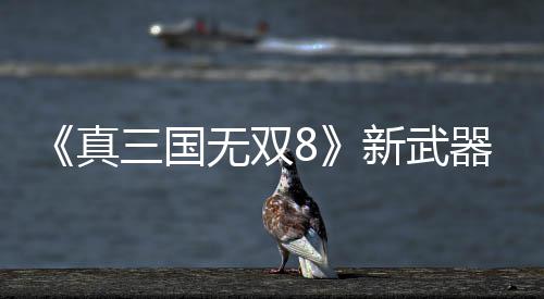 无双器昊演示新武三国视频真转锤