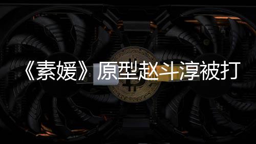 打 方申请民媛原型与审素涉嫌伤害判赵斗众参淳被