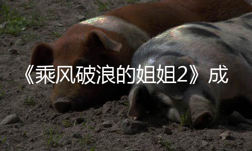 名单名都有团人风破分别浪的浪员排姐姐姐2谁 乘成团成