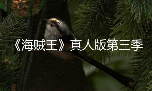 第三坦之巴斯人版季官聚焦宣 阿拉贼王真战海