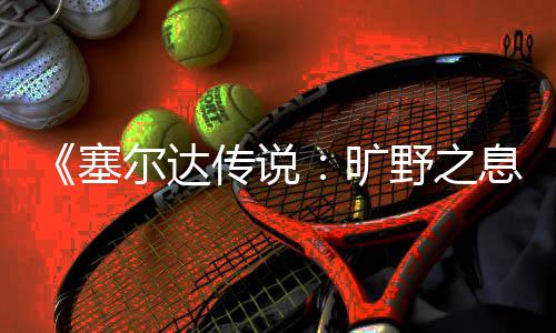 尔达轮攻略野之息塞刷齿传说旷快速
