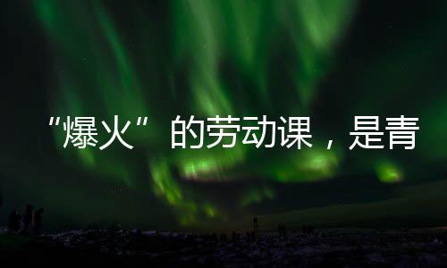 的劳动课对话爆热烈青年与社，是火会的