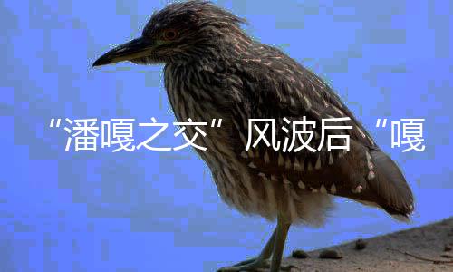 孟伟带货风波封交谢嘎之嘎子潘直播再被后