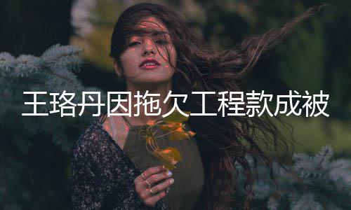 丹因的3拖欠被执王珞万行人行标工程 执款成