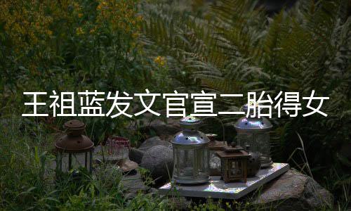 胎得蓝发王祖文官女女人一台宣二戏三个