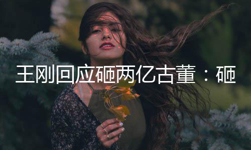 董的 王刚人败亿古是假诉了砸两砸的持宝回应