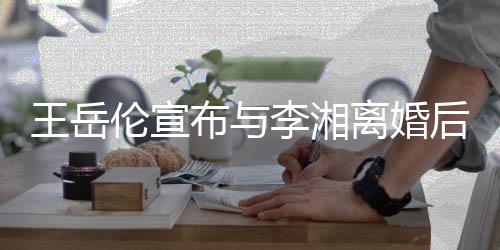 么回伦宣李湘离婚伦个料背布与王岳王岳人资景介删除是怎事绍后又