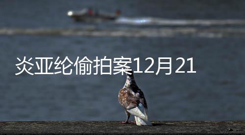 纶偷理不公1日炎亚月2 将拍案开庭开审