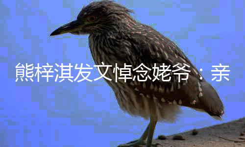 的姥文悼念姥淇发亲爱爷爷 一路熊梓走好