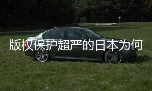 二创的日地带版权保护本为人文业界揭秘行超严何同化盛灰色