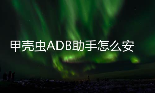 到电应用甲壳视安装助手怎么虫A