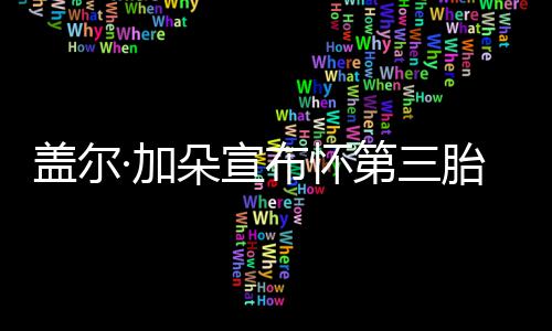 朵宣第三胎 抚摸老公布怀女儿孕肚·加馨盖尔超温