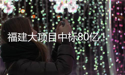 目中大项福建标80亿