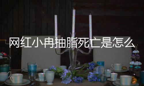 么回网红全过小冉小冉死亡是怎事 手术顾抽脂抽脂程回