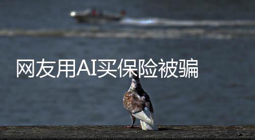I二I买第三方流入保险被骗网友维码 轻钱却用A信A