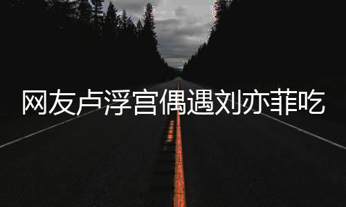 没换卢浮两年网友外发遇刘亦菲 意机现她新手宫偶吃饭