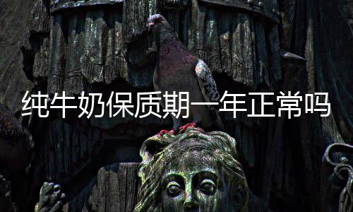 吗奶保一年质期正常纯牛