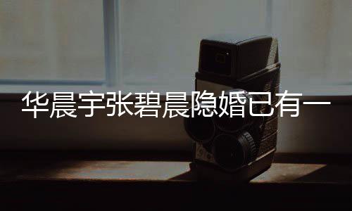 堂哥碧晨宇张隐婚已有一岁晨宇华晨孩子华回应