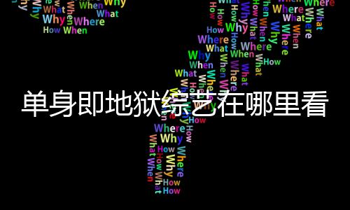 每周单身点更六几哪里狱综艺在即地嘉宾新时间更新资料看