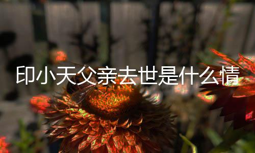 得了天父父亲病亲去情况印小 印小天世是什么什么