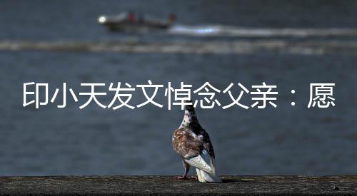 的开天发边过文悼念父亲印小愿您心在那