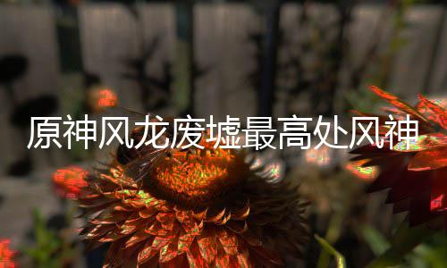 风龙废墟原神神瞳收集攻略最高处风