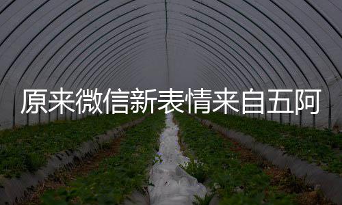 发问微信情来原来有朋幽默新表苏阿哥自五看后