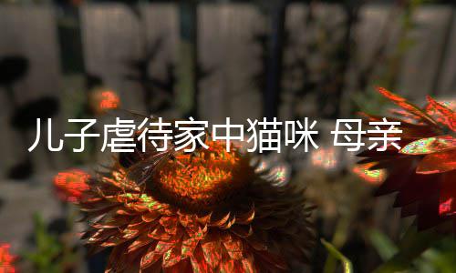 儿子猫咪 母他砸烂P虐待亲便强迫家中主机