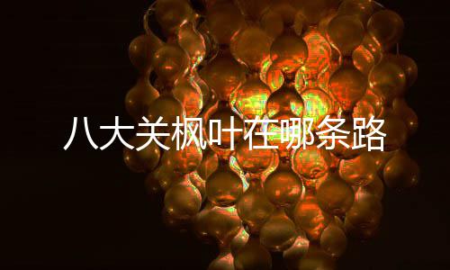 路八大哪条叶在关枫