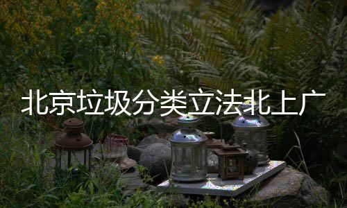 分类垃圾立法类北京北上入强将进广深制分