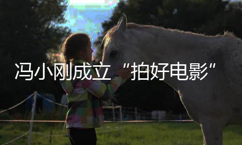 电影同持冯小帆共立与妻司 刚成公股拍好子徐