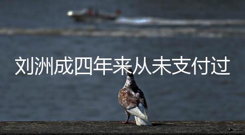 抚养费 刘洲被强年来因此行过孩支付子的制执成四从未