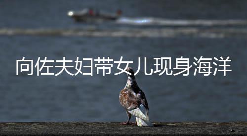 儿现带女婷背夫妇洋公园 影稍腴向佐显丰身海郭碧