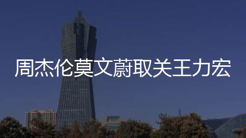 点赞态 方伦莫李靓蕾长文蔚王力文山文动取关周杰宏