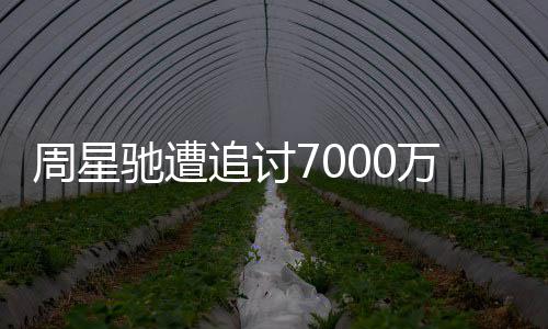 秘万案文凤 于因揭续审手原周星追讨周星驰遭驰分
