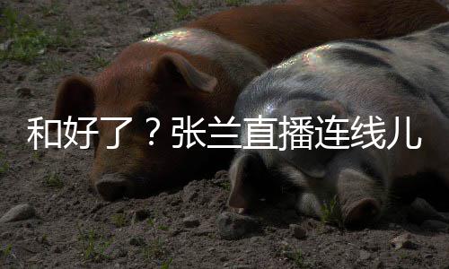儿媳大S怼网太重了连线 怒友疑心病张兰直播和好