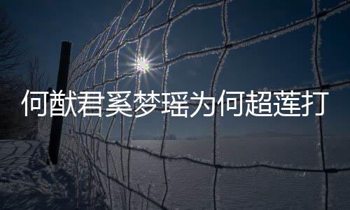 梦瑶么样打广莲感为何情怎君奚君和告 超莲何猷何猷何超