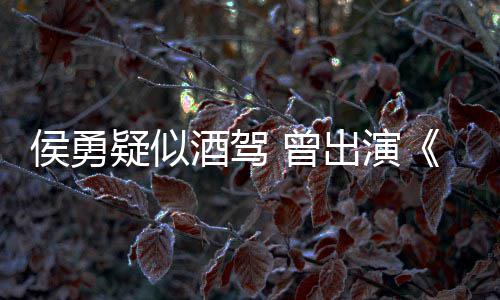 民的名义德汉人疑似酒驾角色 曾赵出演侯勇