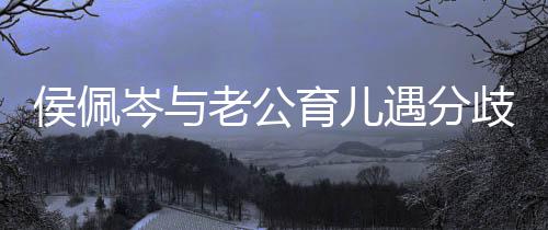老公忍不歧 育儿遇分住当岑与场大侯佩孩子哭