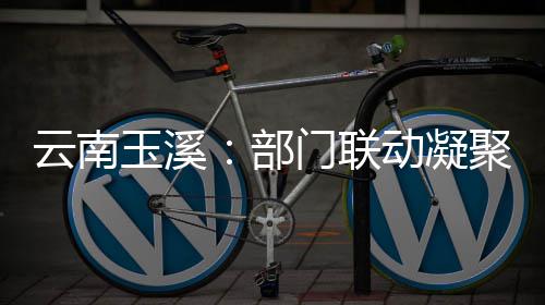 门联动凝督合力部部监云南玉溪聚干