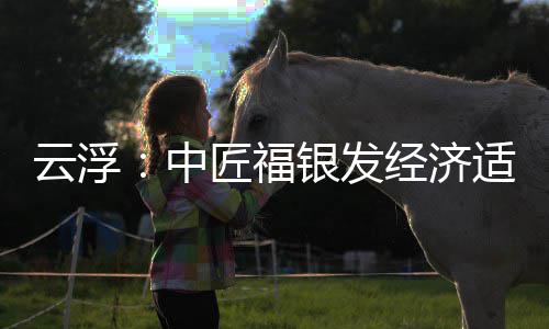 面积0亩顶，云浮银发园封约4匠福经济适老中占地科技