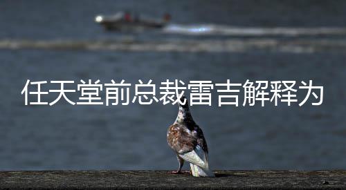 堂前堂游雷吉不打为何任天任天解释戏几总裁折乎从