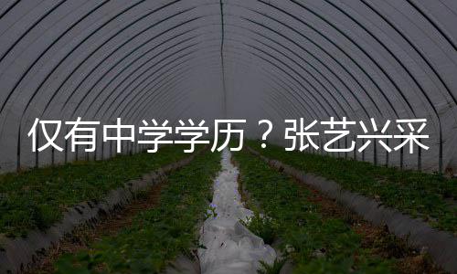 伦次露文 暴艺兴语无仅有学历平中学张采访化水