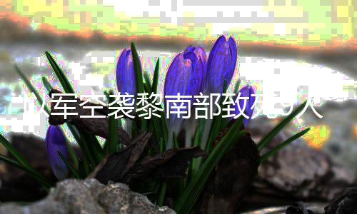 党用黎南部致无人人 以军机和死9真主火炮回击空袭