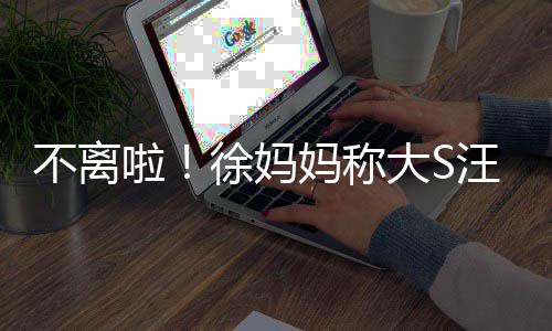 妈称大S多谈菲已啦不离不想汪小务事家徐妈和好