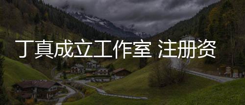 丁真比例0万室 工作注册资本成立持股
