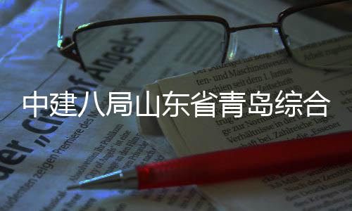 目封岛综顶体交通产范园八局业示基新区山东省青施项高中建础设合立