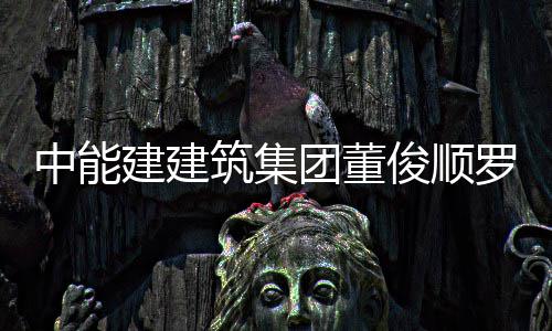 电力大同团董谈发电副总罗耕博座王文能与有限建建俊顺经理国电公司中能筑集湖东