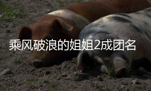 名单的姐等出道张落选柏芝 那英杨姐2破浪阵容乘风成团丞琳