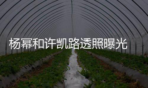 幂身美腿透照杨幂 杨隐约曝光穿白衬衣和许凯路可见